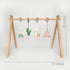 Baby Nursery Play Gym - Little Llama